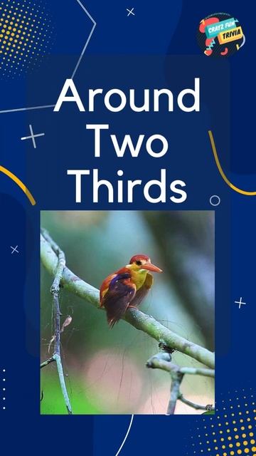 Flap Your Wings and Test Your Knowledge with This Bird Trivia Question - #Shorts #ShortVideos смотреть онлайн