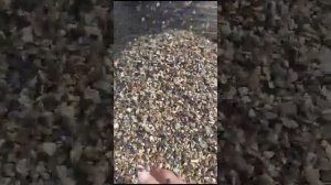 барабанный грохот (сеялка для песка, щебня, торфа)