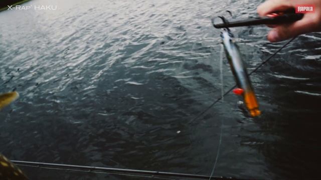 RAPALA X Rap HAKU смотреть онлайн