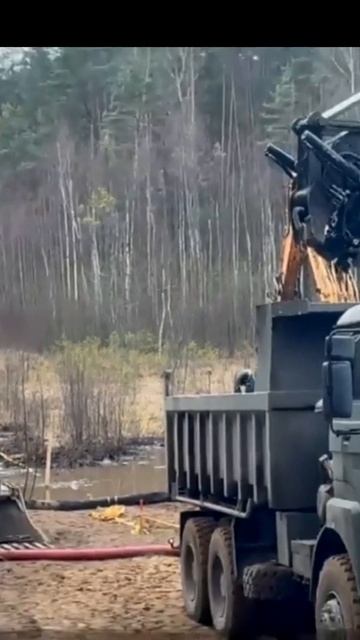 Вести с болот