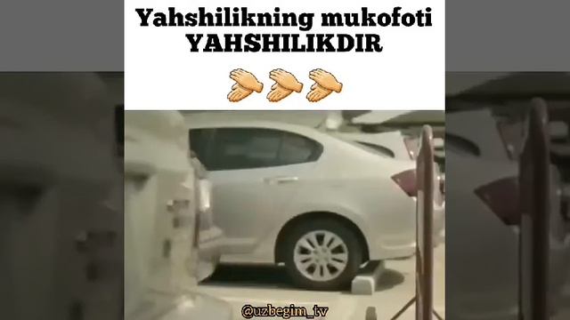 ИН ВИДЕОРА ТО ОХИРША ТАМОШО КУНЕД. САГ АЗ ОДАМЙ БАД САД БОР БЕХТАРАСТ. ☝☝👍👍АЛЛОХ НИГАХБОНТОН ДУСТО смотреть онлайн