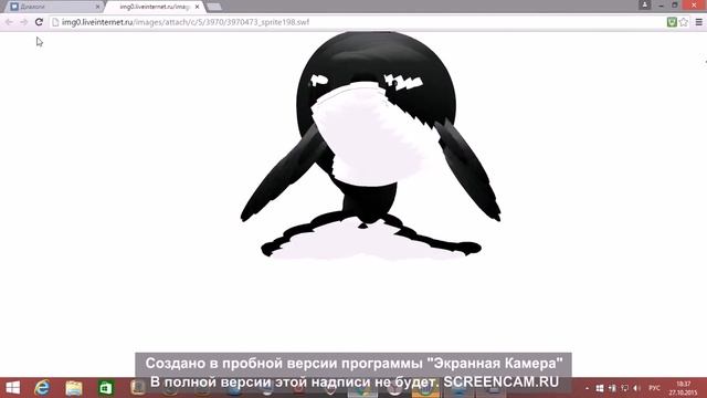 Акула под хард басс!! смотреть онлайн