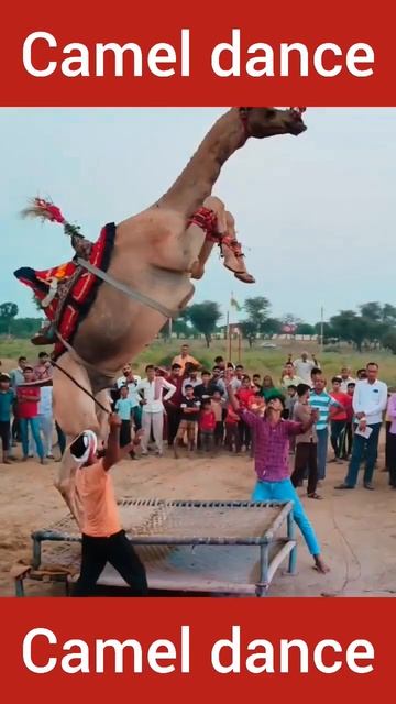 Camal#dance#parfume lgave chunni me🤣🤣😀❣❤ смотреть онлайн