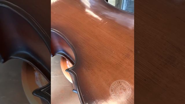 Chocolate Cello! смотреть онлайн