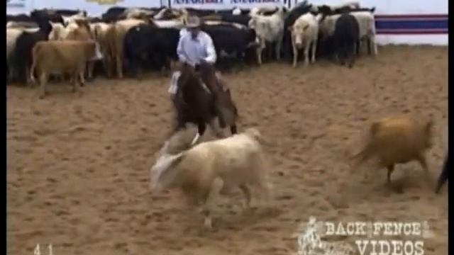 WR This Cats Smart - NCHA World Finals