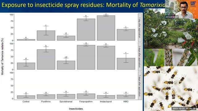 Evolving management of Asian citrus psyllid and interactions with citrus pest complex. смотреть онлайн