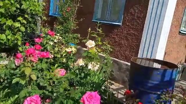 #21 Исаковское водохранилище после месячных осадков. смотреть онлайн