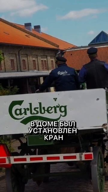 Нильс Бор#Нильс бор#нильс бор постулаты#нильс бор бэнд#Нобелевская премия#Niels bohr#physics смотреть онлайн