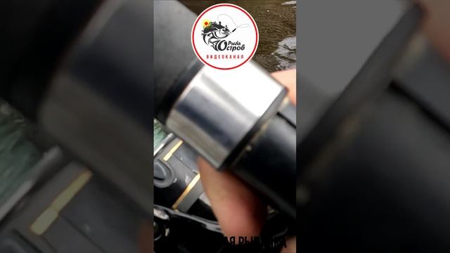 Сахалинская рыбалка