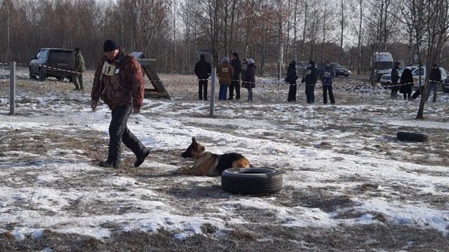 КУБОК ХЕЛЬХАУСА г.Торжок НО ЮДА отнимание поводка смотреть онлайн