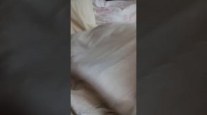 Маша, вставай!!! В детский сад пора!