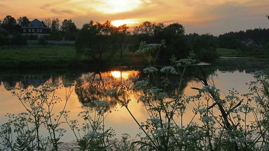 ПОДМОСКОВНЫЕ ВЕЧЕРА смотреть онлайн