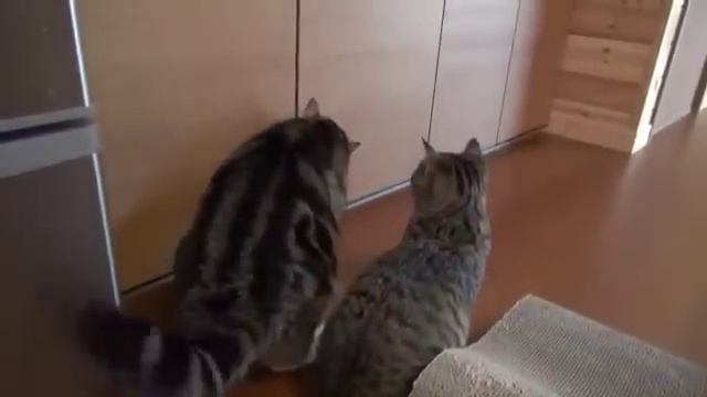 Помощь и взаимовыручка смотреть онлайн