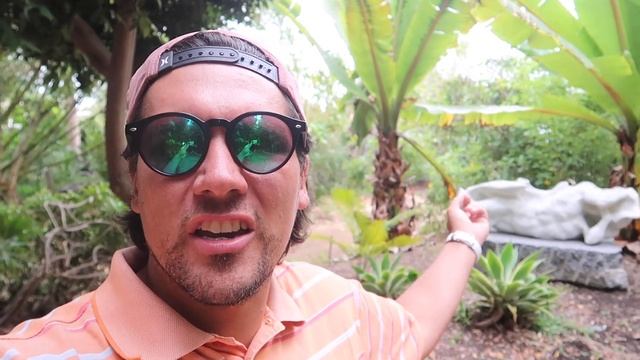 ART WORTH OVER 100k in Botanic Garden | San Diego | VLOG #58 смотреть онлайн