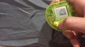 Тамагочи тутор как кормить