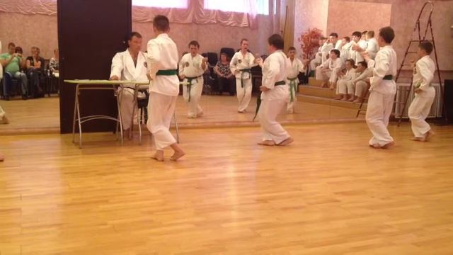 Экзамен на голубой пояс 24.05.2013