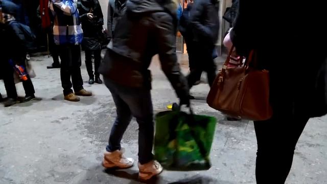Забавное видео!! Duck In Big City. Утка в большом городе!!