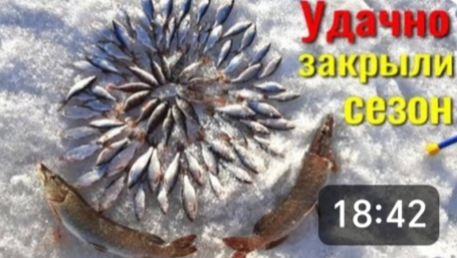 Удачное завершение сезона. Щука укусила мужа за руку. Смотрите видео до конца. смотреть онлайн