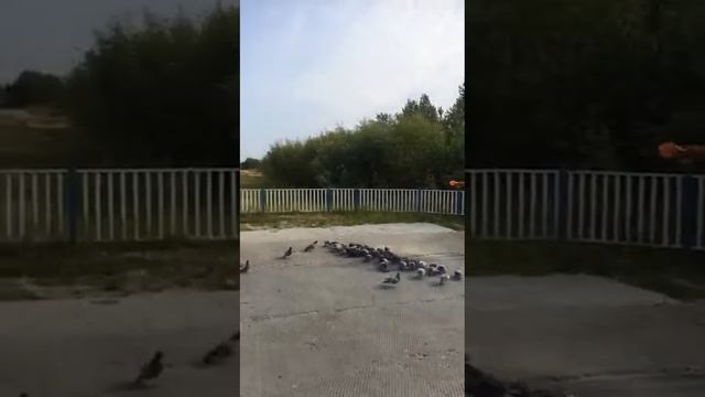 Сахил Нижнесортым смотреть онлайн