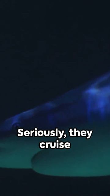 Sniffing Out the Truth Greenland Sharks' Unbelievable Sense of Smell #fish #marinespecies #shorts смотреть онлайн