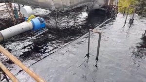 Ютексо видео на сайт. (360p)