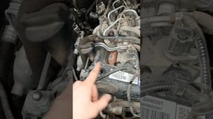 Номер двигателя  На Haval H9 2021