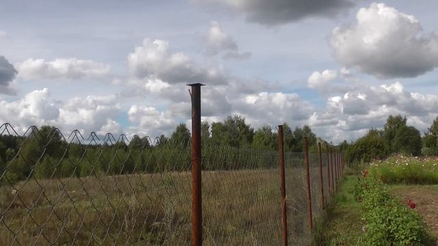 Левый тыловой угол. смотреть онлайн