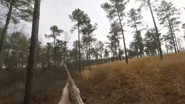 Quail Hunting With Baze & Papa смотреть онлайн