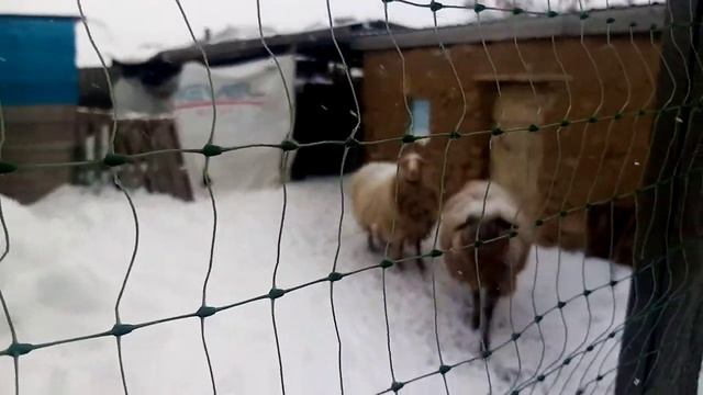 Погода огонь 🥶 смотреть онлайн