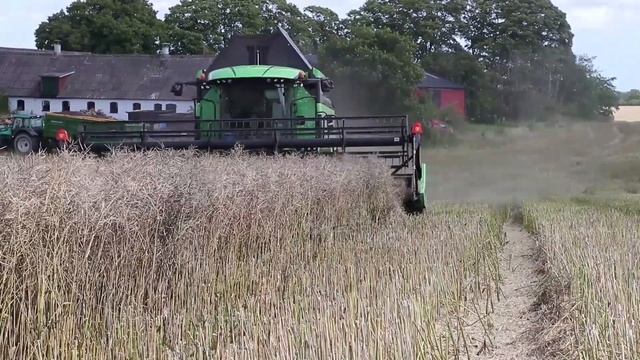 Deutz-Fahr 7206 Tröskar Raps