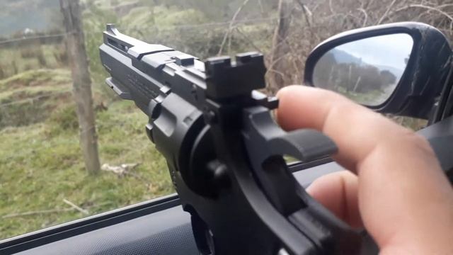 Crosman Vigilante Review