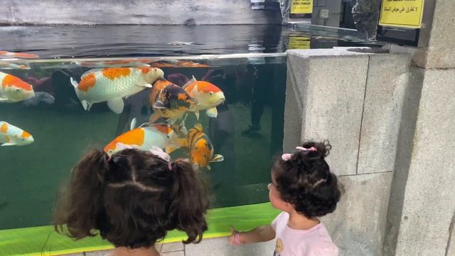 Sheikha and salama to the zoo смотреть онлайн