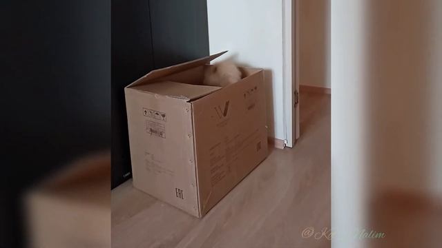 Замечательно выходит! смотреть онлайн