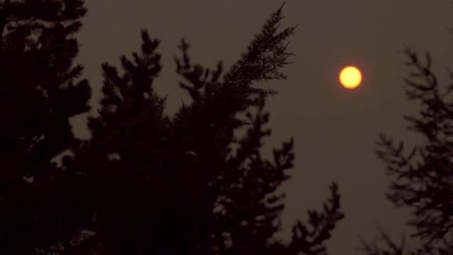 Olkhon`15 смотреть онлайн