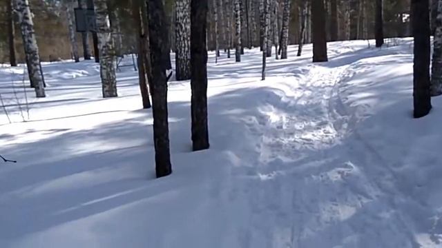 Как быть дальше? Мысли, проекты...