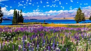 Матушка земля