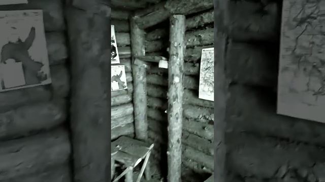 Дмитряшевка. "Широкий" смотреть онлайн