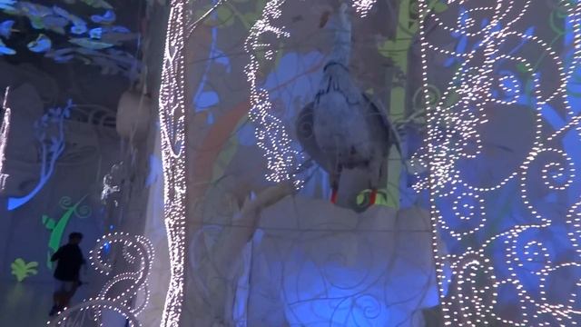 Птица смотреть онлайн