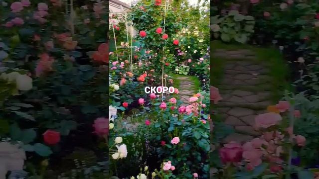 30 мая 2023 г. смотреть онлайн