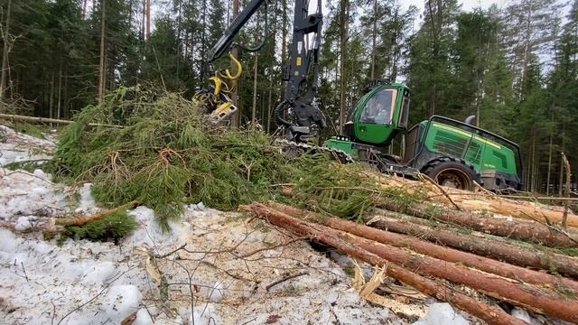 Сосна с Подсочкой смотреть онлайн