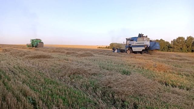 Уборка пшеницы 2023. смотреть онлайн