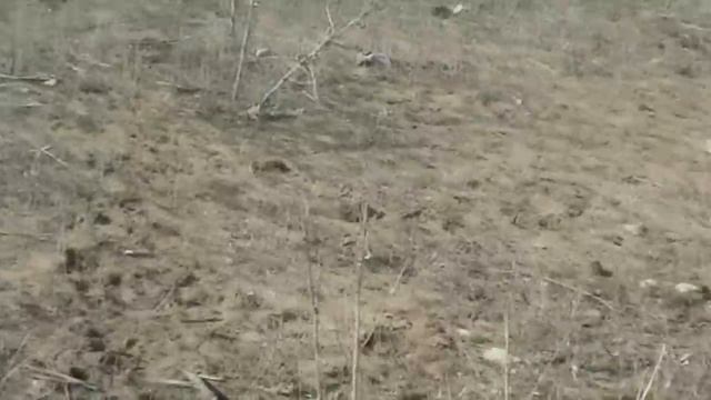НОвый выпуск похода на свалку смотреть онлайн