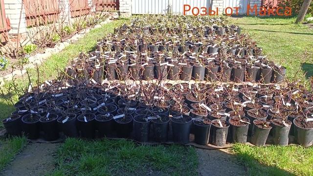 Прогулка по садовому центру. смотреть онлайн