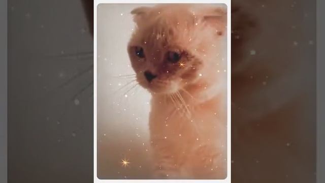Косяк смотреть онлайн