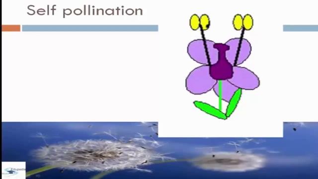 Flowering Plants | What Is Pollination? | Self Pollination | Advantages & Disadvantages | Part 6 смотреть онлайн
