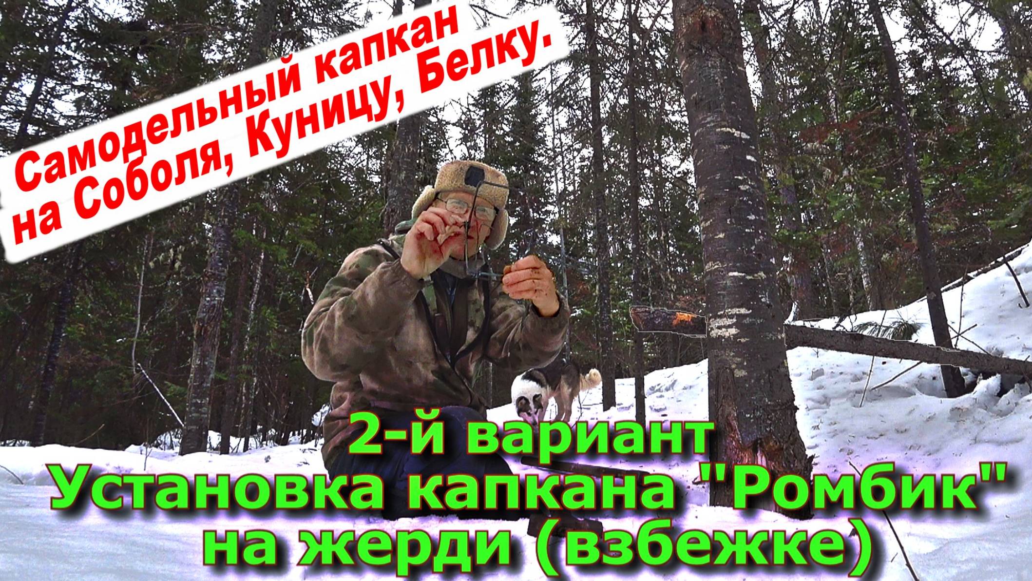 2-й вариант Установка капкана "Ромбик" на жердь-взбежку смотреть онлайн