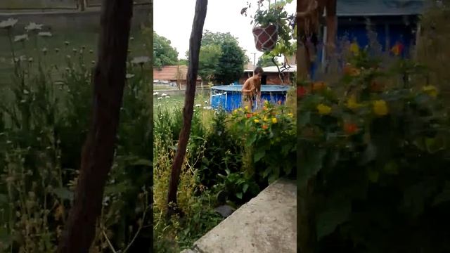 Ритане на топка смотреть онлайн