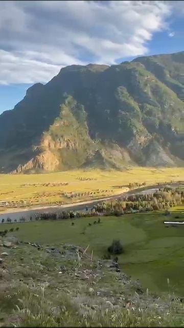 Видео от наших клиентов 12. смотреть онлайн