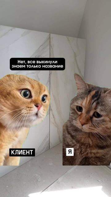 Самая глупая ошибка | укладка плитки | плиточные работы #керамогранит #ремонтквартир #салонплитки смотреть онлайн