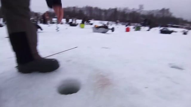 Поимки на поставушки